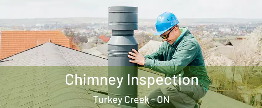  Chimney Inspection Turkey Creek - ON
