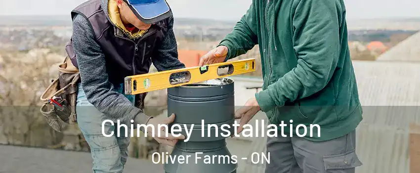  Chimney Installation Oliver Farms - ON