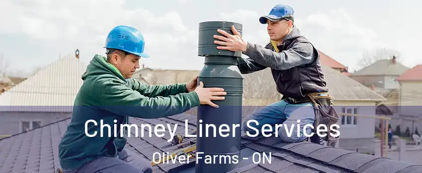  Chimney Liner Services Oliver Farms - ON