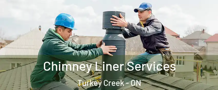  Chimney Liner Services Turkey Creek - ON
