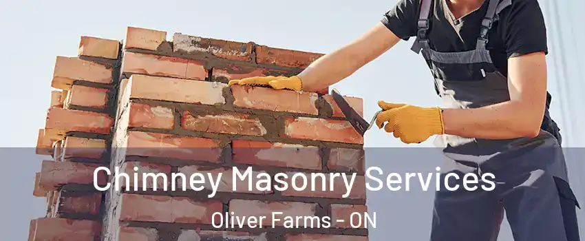 Chimney Masonry Services Oliver Farms - ON