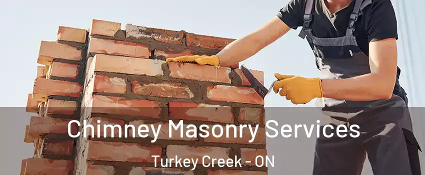 Chimney Masonry Services Turkey Creek - ON