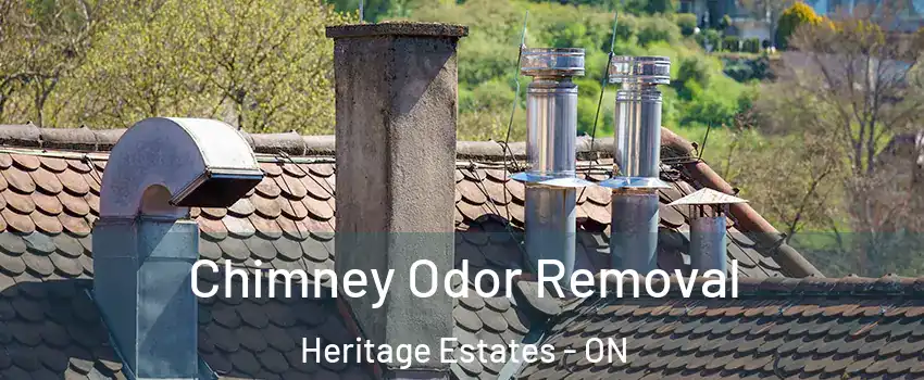  Chimney Odor Removal Heritage Estates - ON