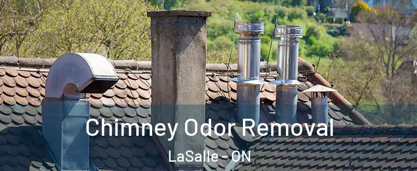  Chimney Odor Removal LaSalle - ON