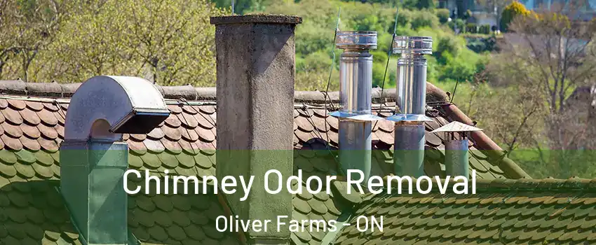  Chimney Odor Removal Oliver Farms - ON