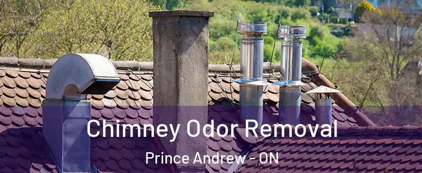  Chimney Odor Removal Prince Andrew - ON