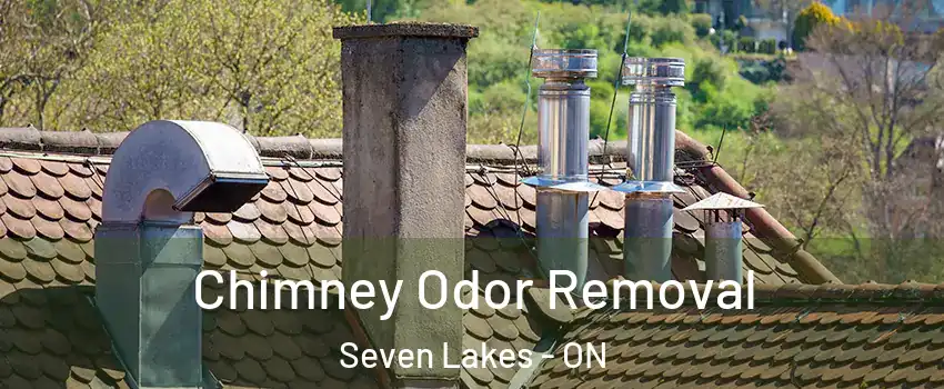 Chimney Odor Removal Seven Lakes - ON