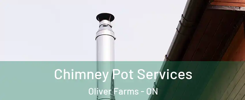  Chimney Pot Services Oliver Farms - ON