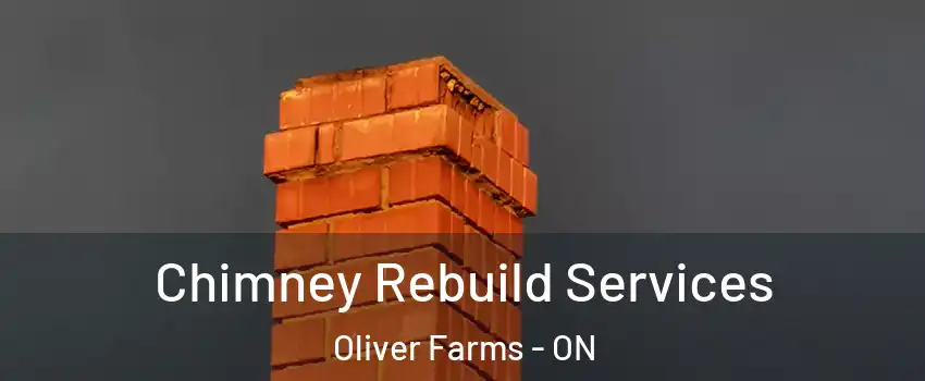 Chimney Rebuild Services Oliver Farms - ON