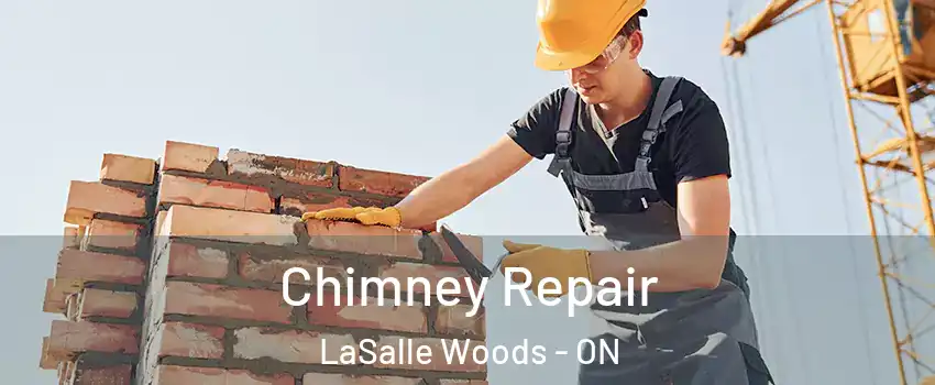  Chimney Repair LaSalle Woods - ON