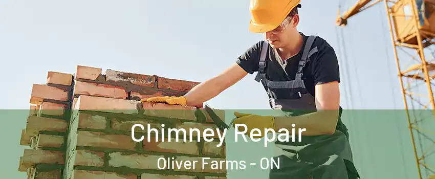  Chimney Repair Oliver Farms - ON