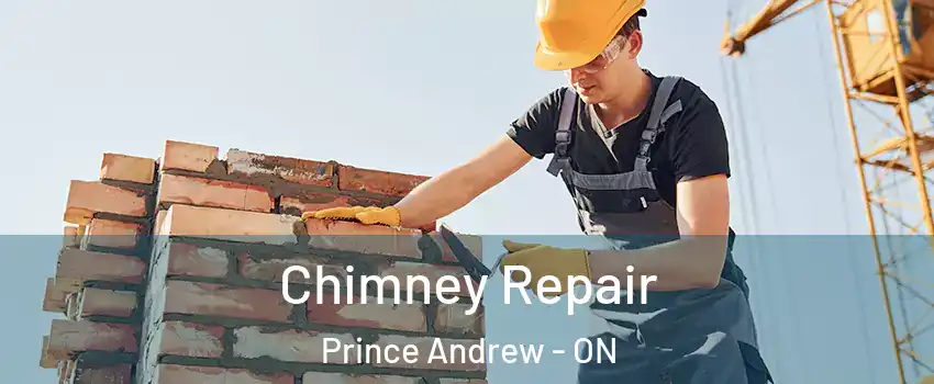  Chimney Repair Prince Andrew - ON