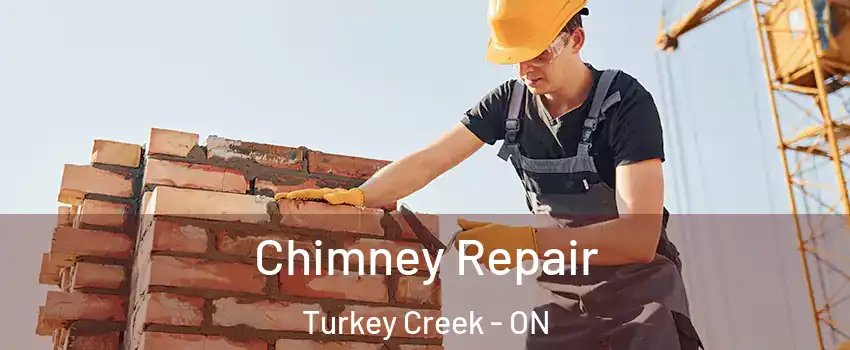  Chimney Repair Turkey Creek - ON