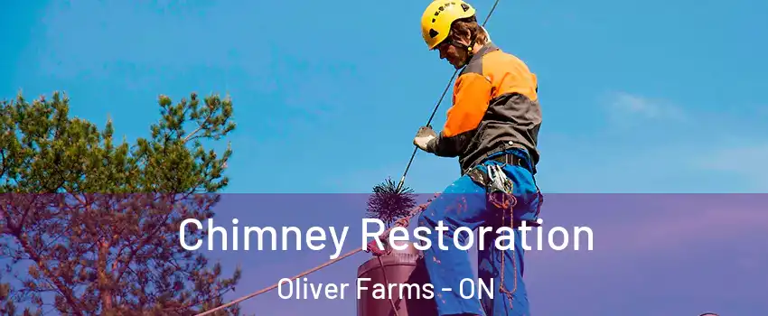  Chimney Restoration Oliver Farms - ON