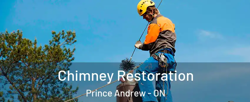  Chimney Restoration Prince Andrew - ON