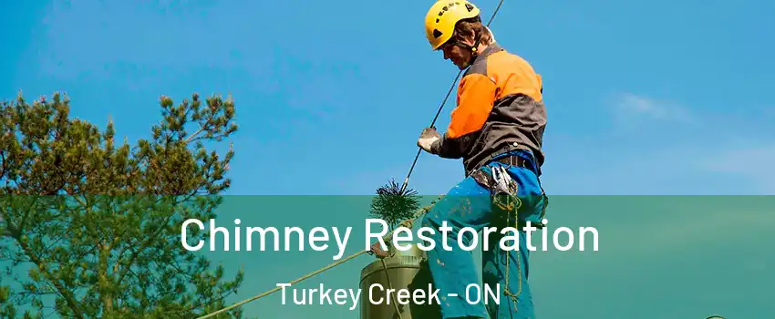  Chimney Restoration Turkey Creek - ON