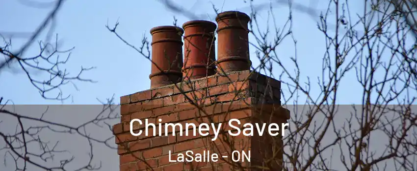  Chimney Saver LaSalle - ON