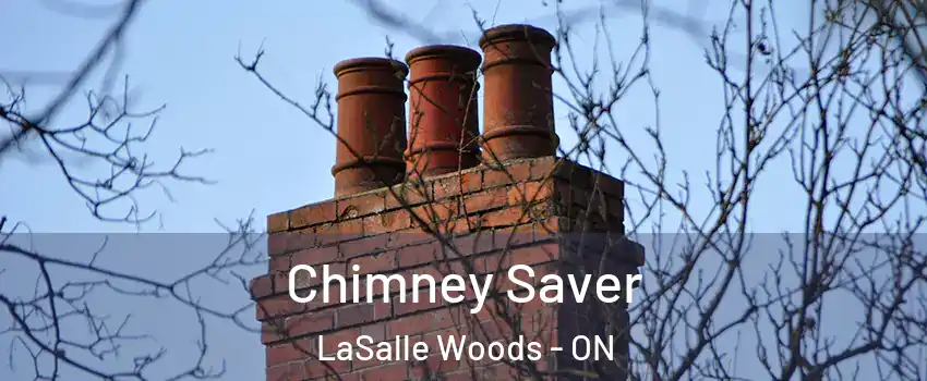  Chimney Saver LaSalle Woods - ON