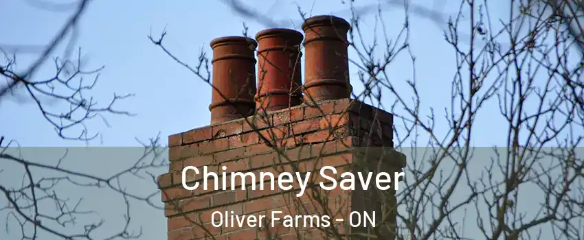  Chimney Saver Oliver Farms - ON