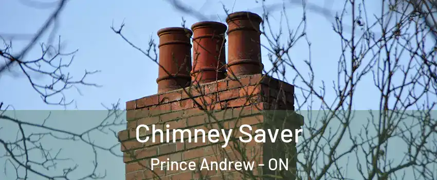  Chimney Saver Prince Andrew - ON