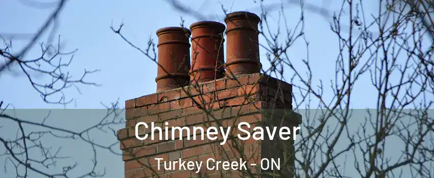  Chimney Saver Turkey Creek - ON
