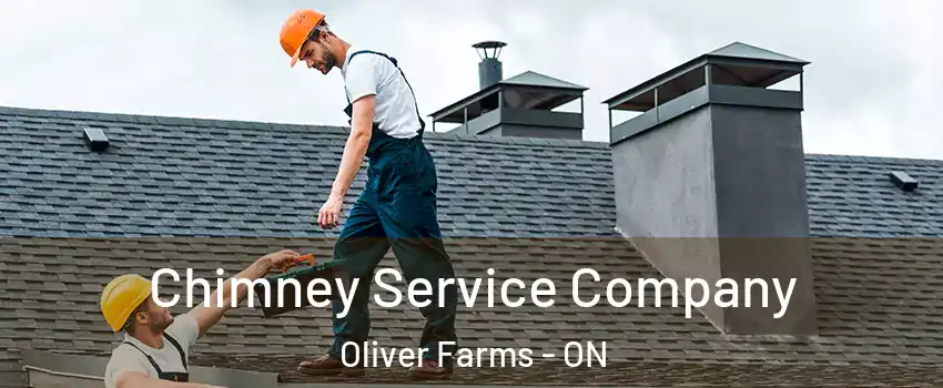  Chimney Service Company Oliver Farms - ON