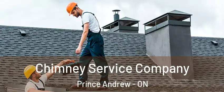  Chimney Service Company Prince Andrew - ON