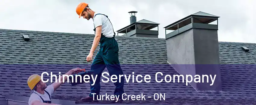 Chimney Service Company Turkey Creek - ON