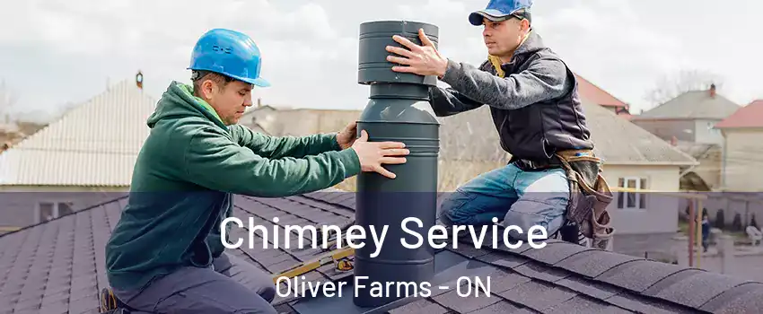  Chimney Service Oliver Farms - ON