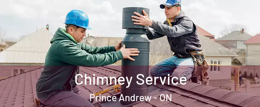  Chimney Service Prince Andrew - ON