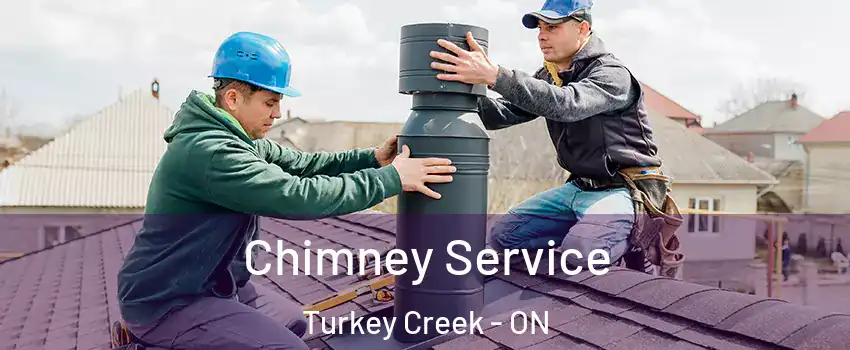  Chimney Service Turkey Creek - ON
