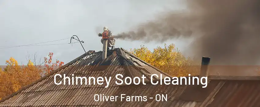  Chimney Soot Cleaning Oliver Farms - ON