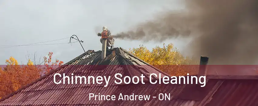  Chimney Soot Cleaning Prince Andrew - ON