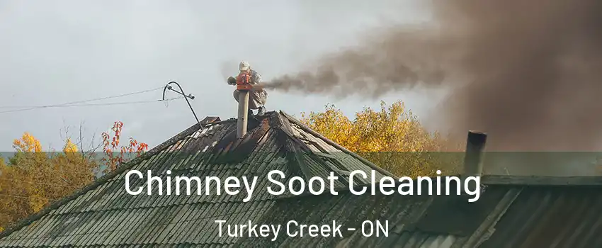  Chimney Soot Cleaning Turkey Creek - ON