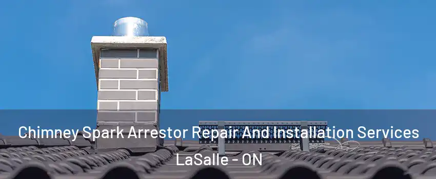  Chimney Spark Arrestor Repair And Installation Services LaSalle - ON