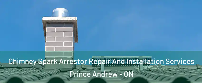 Chimney Spark Arrestor Repair And Installation Services Prince Andrew - ON