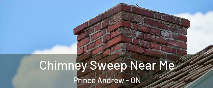  Chimney Sweep Near Me Prince Andrew - ON