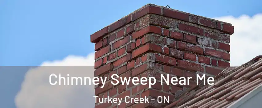  Chimney Sweep Near Me Turkey Creek - ON