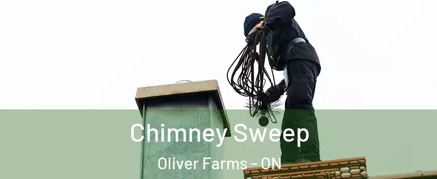  Chimney Sweep Oliver Farms - ON