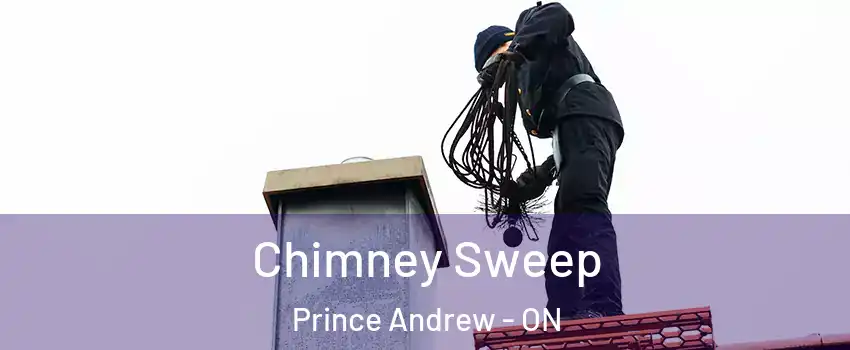  Chimney Sweep Prince Andrew - ON