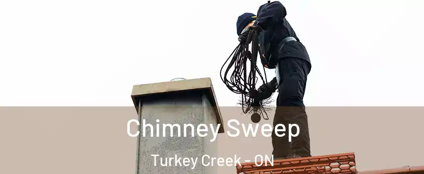 Chimney Sweep Turkey Creek - ON
