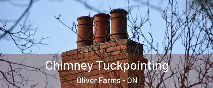  Chimney Tuckpointing Oliver Farms - ON