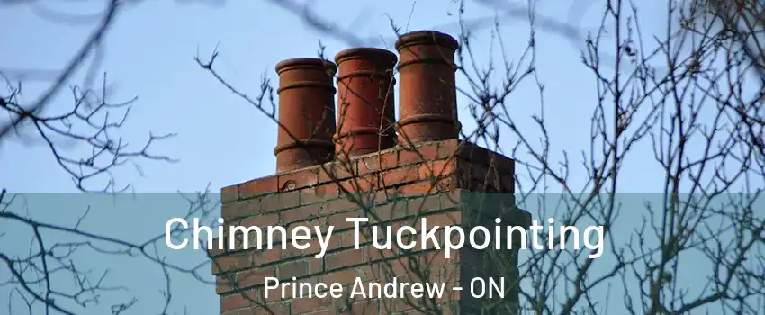  Chimney Tuckpointing Prince Andrew - ON