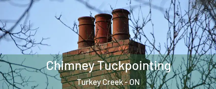  Chimney Tuckpointing Turkey Creek - ON