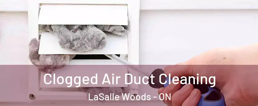  Clogged Air Duct Cleaning LaSalle Woods - ON