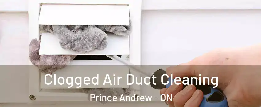  Clogged Air Duct Cleaning Prince Andrew - ON