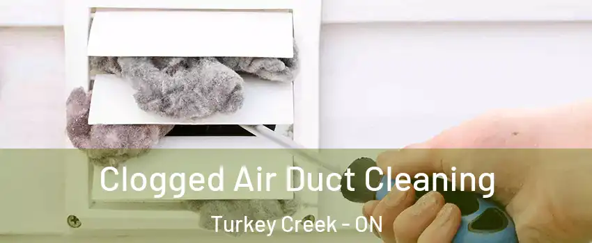  Clogged Air Duct Cleaning Turkey Creek - ON