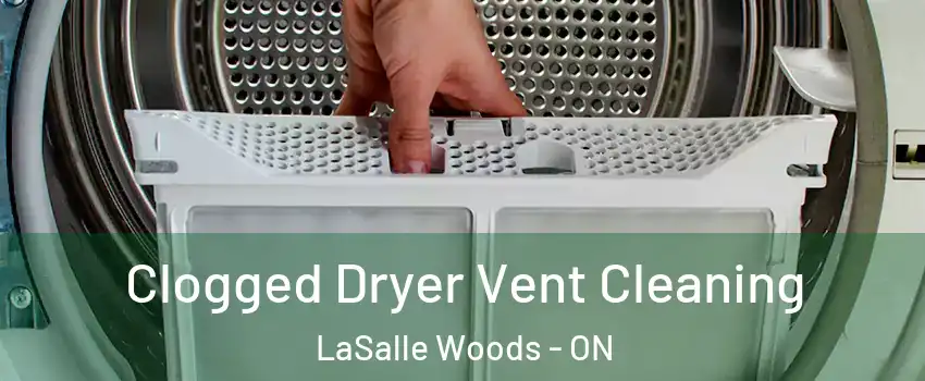  Clogged Dryer Vent Cleaning LaSalle Woods - ON
