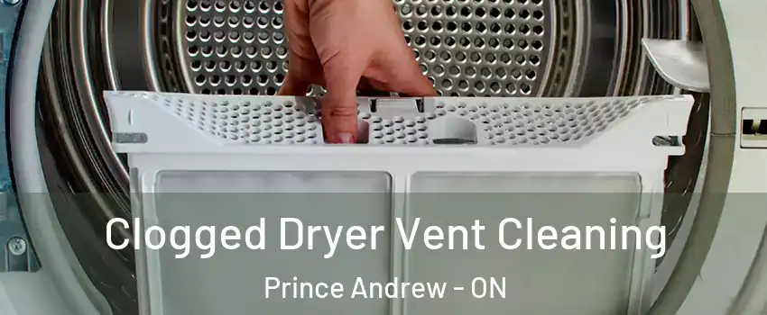  Clogged Dryer Vent Cleaning Prince Andrew - ON