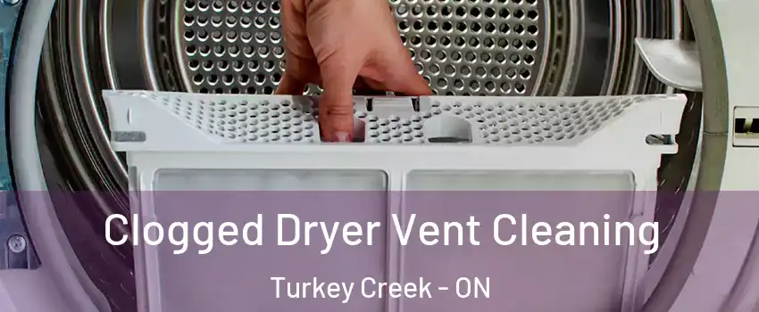  Clogged Dryer Vent Cleaning Turkey Creek - ON
